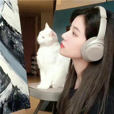 新手人生